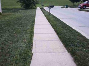 Rajagopalan S.'s Lawn Care service result