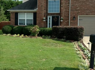 Bush Trimming by Chris Frady for Rose B. in Simpsonville, SC