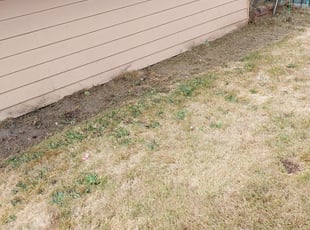 Weeding by Johnny Harris for Julie C. in Everett, WA