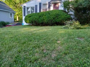 Bush Trimming by Curtis Robinson for Carlos C. in Madeira, OH