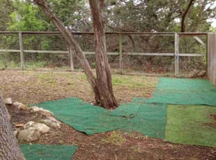 Leaf Removal by Jason Salazar for Dolores P. in San Antonio, TX