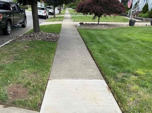 Shannan B.'s Lawn Mowing Service service result