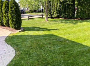 Raja K.'s Lawn Mowing service result