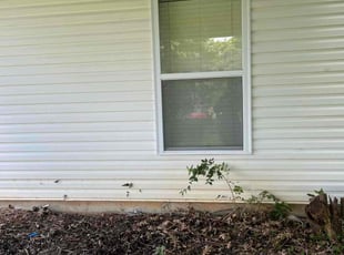 Alicia F.'s Cleanups service result