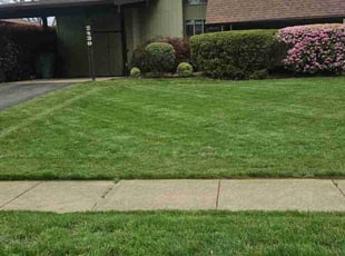 Marin M.'s Lawn Service service result
