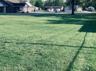 Mary H.'s Lawn Service service result
