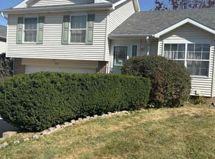 Bush Trimming by Kacy Holmes for Justine B. in Omaha, NE