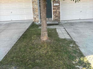 LaTasha C.'s Lawn Mowing Service service result