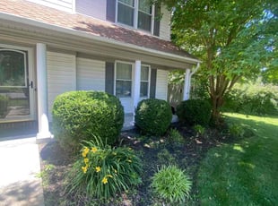 Bush Trimming by Montez Scutchings for Bria B. in Virginia Beach, VA