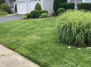 Sharon b.'s Grass Cutting service result