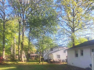 Leaf Removal by Tomarkius Collins for Wesley J. in Hampton, VA