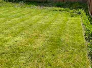 Gerald A.'s Lawn Maintenance service result