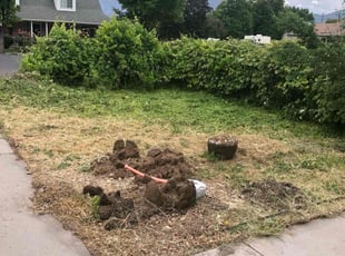 Cleanups by Shawn Beardall for Susan A. in Spanish Fork, UT