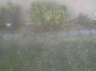 Bush Trimming by Emmett Hotchkiss for Deborah M. in Boise, ID