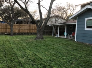 Cleanups by Daniel Mora for Claire W. in San Antonio, TX