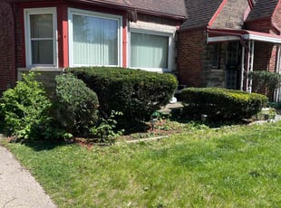 Bush Trimming by Luther Bailey for Kristina R. in Detroit, MI