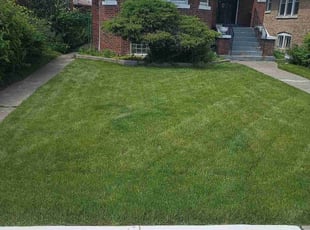 Latoya J.'s Lawn Maintenance service result