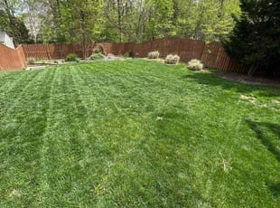 Cassandra W.'s Lawn Care service result