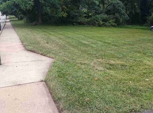 Zachary S.'s Lawn Service service result