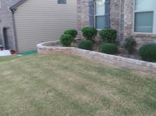 Mark S.'s Bush Trimming service result