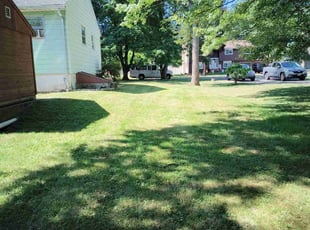 Aminadab M.'s Yard Cutting service result