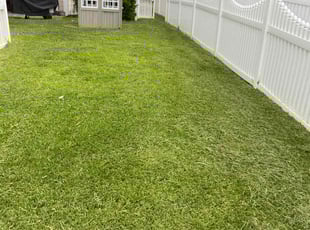 Estella H.'s Lawn Service service result
