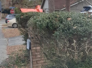 Bush Trimming by Alan Hollis for Sharmin R. in Tallahassee, FL