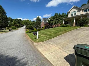 James Andrew B.'s Lawn Mowing service result