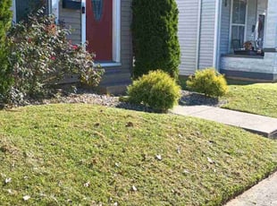 Mary Evelyn G.'s Yard Cutting service result