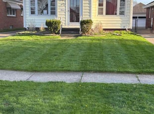 Doris G.'s Lawn Service service result