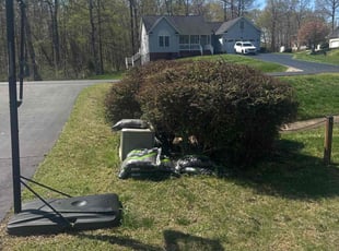 Bush Trimming by Ashley Dawson for Ashley H. in Fredericksburg, VA