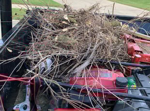 Cleanups by Alex Morales for Lesli M. in Katy, TX