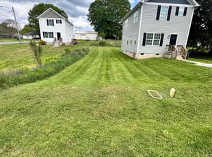 Alex R.'s Grass Cutting service result