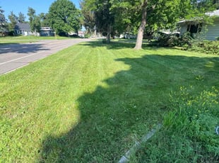 Ryan H.'s Lawn Care service result