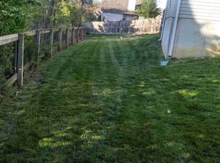 Isaiah S.'s Lawn Maintenance service result