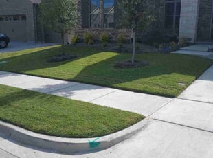 Leta W.'s Lawn Care service result