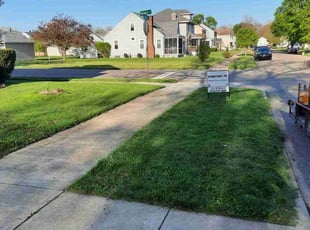 Ame D.'s Lawn Service service result