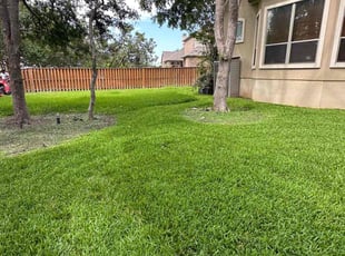 Linda C.'s Lawn Care service result