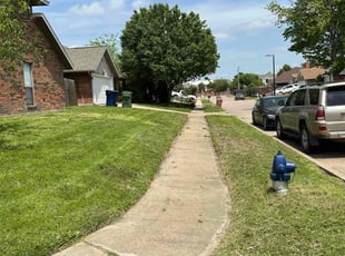 Braxton G.'s Lawn Care service result