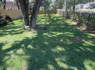 Penny H.'s Lawn Mowing Service service result
