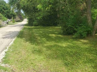 Aida A.'s Lawn Care service result
