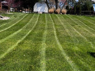 Pat B.'s Lawn Mowing service result
