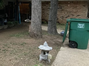 Leaf Removal by Emma Perales for Josh T. in Fort Worth, TX