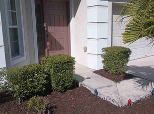 Mulching by Isabel Charrez for Debbie s. in Wesley Chapel, FL