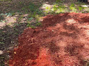 Jeff B.'s Mulching service result