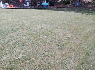 Hazel K.'s Lawn Service service result