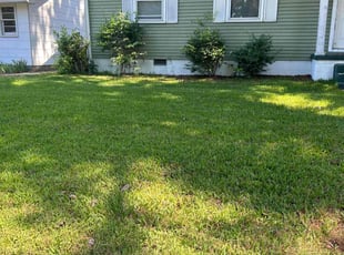 Rhonda L.'s Lawn Mowing service result