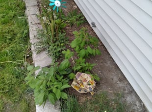 Mulching by Lamel Sloan for Mary M. in West Allis, WI