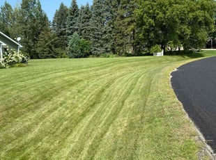 Sharon B.'s Yard Cutting service result