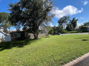 Erik G.'s Grass Cutting service result